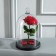 Glass dome-slosh with a ball on the stand "Rodrik", 24x15 cm, glass, black