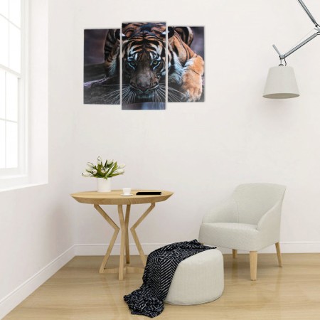 The modular picture "Tiger look" (2-25x52; 1-30x60) 60x80 cm-3