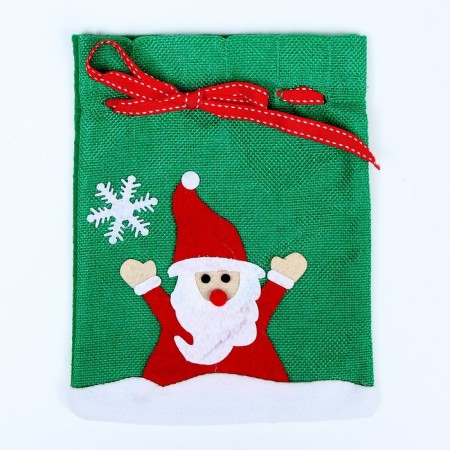 Gift bag "New Year", 21 × 16 cm, species mix-2