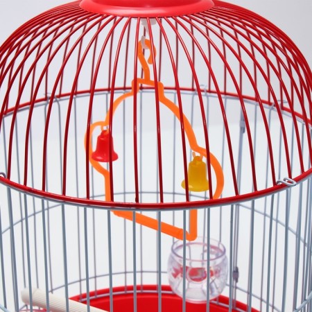 Birds Cell-Kound equipped BD-4/2, 23.5 x 33 cm, red-4