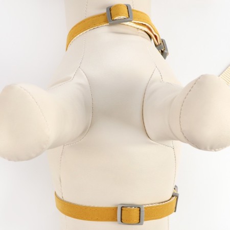 A set of ammunition with a backpack, size m, leash 120 x 1.5 cm, ok 20-32 cm, 24-40 cm, yellow-6