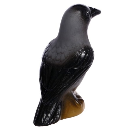 A set of figures "Studying birds"-2