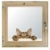 Window, 50 × 60cm, "cat", single -chamber double -glazed window, with a seal