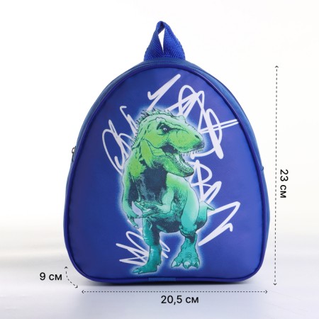 Children's backpack on the zipper "chosen", the color is blue-1