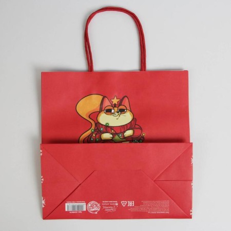 Gift package “Next year will be better”, 22 x 22 x 11 cm, new year-4