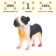 Figure "On the farm: dog"