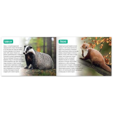 The training book "Forest animals", 20 p.-2