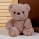Soft toy "Bear", 23 cm, beige color