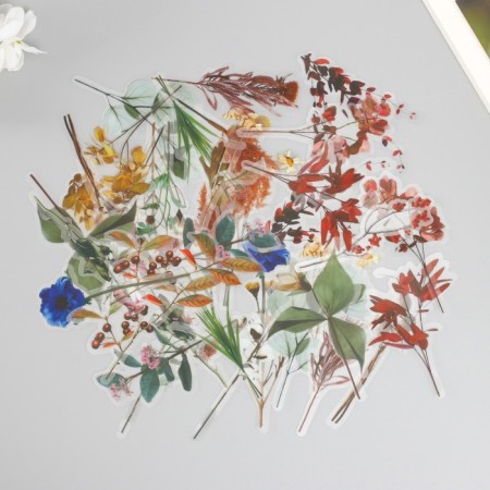 Stickers for creativity PLC PVC "On forest paths" set 40 pcs 9x10.5 cm-1
