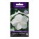 Flowers Catarantus Pacific "White" 10 pcs