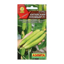 Cucumber seeds 