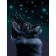 Picture on numbers on canvas 30 × 40 cm "Mystical Cat", with acrylic paints and brushes