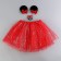 Carnival set "Mouse with a bow": pack, hairpins, elastic bands
