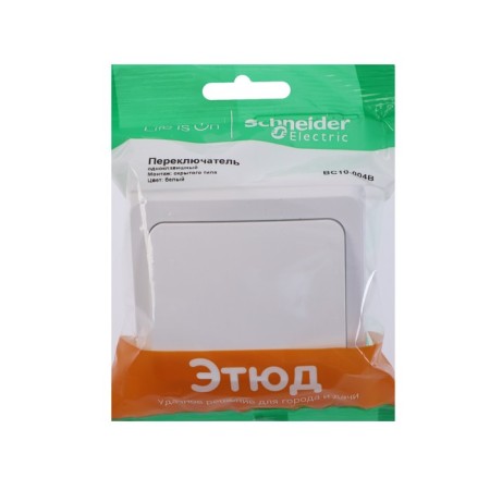 Passing SE SE "Study", 10 A, 1 key, IP20, hidden, white, BC10-004B-3