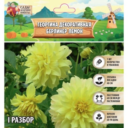 Georgin decorative "Berliner Lemon", rr I, 1 pc, spring 2024