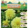 Georgin decorative "Berliner Lemon", rr I, 1 pc, spring 2024