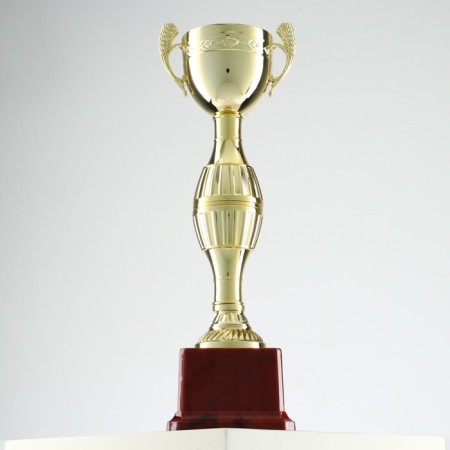 Cup 042C, award figure, gold, plastic stand, 26.2 × 8.7 × 7.5 cm.-1