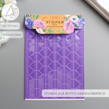A set of corners with a pocket for photos 102 corners 