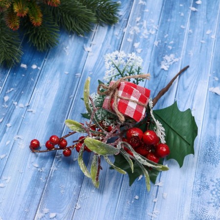 Decor "Winter Dreams" Gift to the Cell leaves of the berry, 20 cm