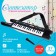 Children's "Electrician" synthesizer, sound effects, 37 keys