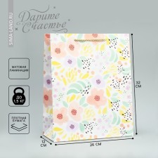 Gift package, packaging, 
