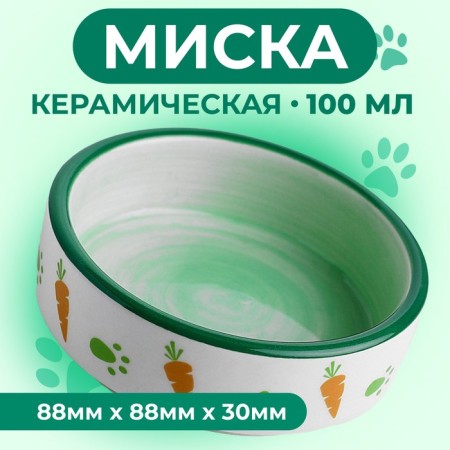 Ceramic bowl with carrots 100 ml 8.8 x 8.8 x 3 cm, green-white