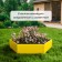 Glocked flowerbed, D = 100 cm, h = 15 cm, yellow, Greengo