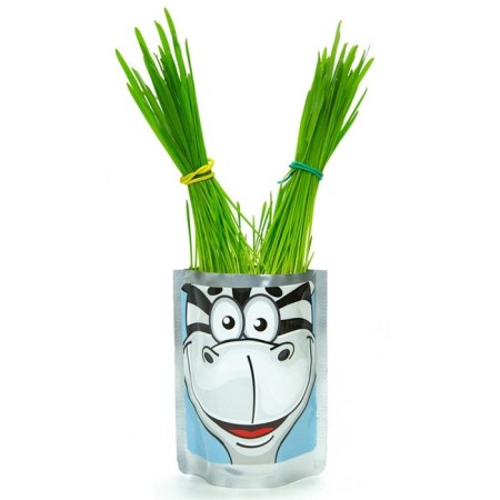 Happy Plant growing sets "Zebra"-1