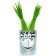 Happy Plant growing sets "Zebra"