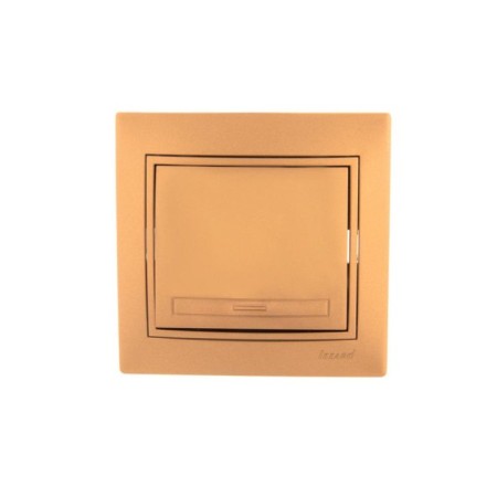 Switch Lezard 701-1313-100 Mira, joint venture, 10a, 1 key, color gold