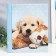 Photo album 10 magnetic sheets "dog" 23x28 cm
