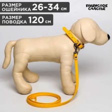 Set of collar (26-34x1.4 cm) and leash (120x1 cm) from eco-leather, yellow