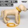 Set of collar (26-34x1.4 cm) and leash (120x1 cm) from eco-leather, yellow