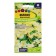 Flox seeds "Beauty in yellow", 0.1 gr.