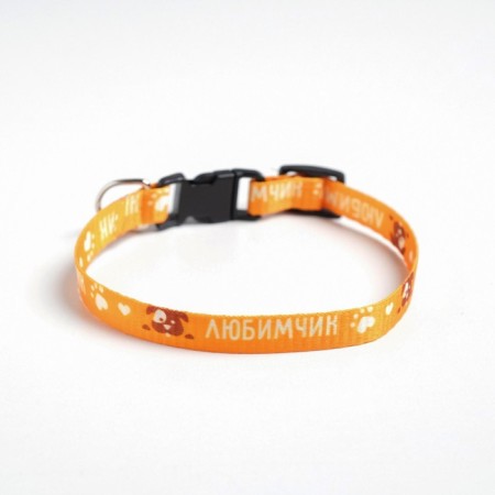 A collar for dogs with Fasteks "Favorite", 30 x 1 cm-1