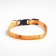 A collar for dogs with Fasteks "Favorite", 30 x 1 cm