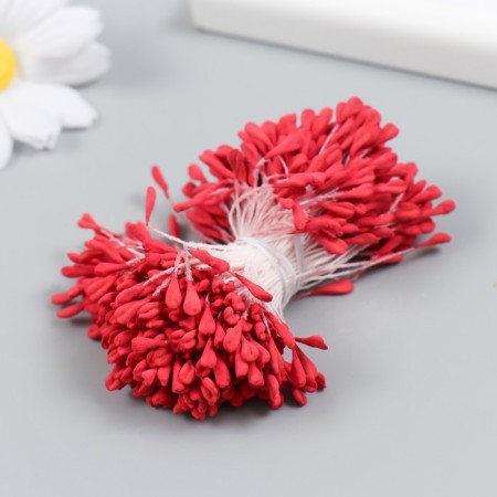 Stream for flowers "red" set 360 pcs length 6 cm-1