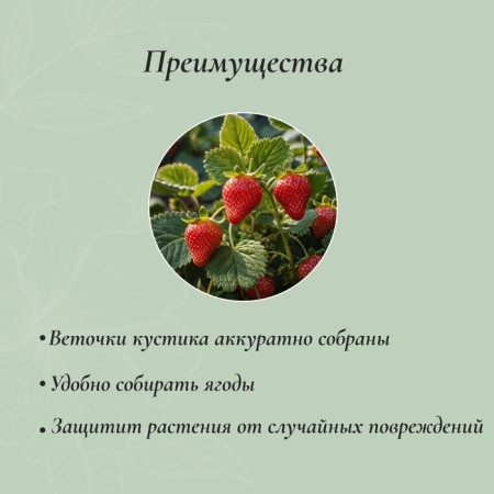 Builder for strawberries, d = 20 cm, h = 25 cm, leg d = 0.3 cm, metal, green, Greengo-5
