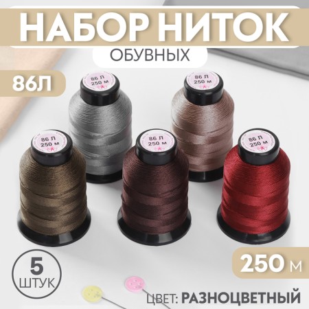 Set of shoe threads No. 2, 86l, 250 m, color colorful color