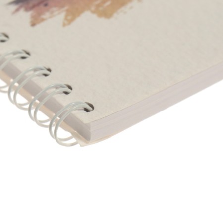 Album for drawing A4, 40 sheets on the crest "Peter Graphics", covered Cardboard, block 120g/m2, mix-3