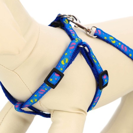 Set "Color Transes", leash 120 x 1 cm, fire 23-35 cm, blue-7