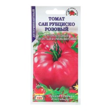 Seed Tomat 