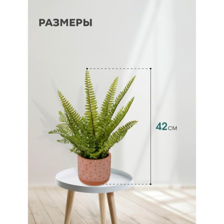 Decorative plant in a ceramic pot "Paporotnik", 12 × 12 × 42 cm-1