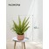 Decorative plant in a ceramic pot "Paporotnik", 12 × 12 × 42 cm