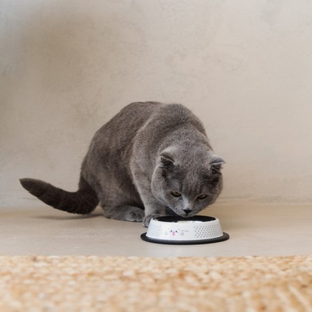 Metal bowl for a cat with a non-slip base “Moore!”, 235 ml, 15x3.5 cm-4