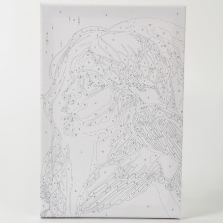 Picture on numbers with a subframe and rubbing "Golden Raven", 20 x 30 cm-7