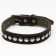 Collar combined leather/tarpaulin, 69 x 3.5 cm, decorated, Osh 45-60 cm, black