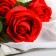 Artificial flowers "Rose Triza" D-7 cm 50 cm, red