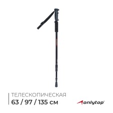 Scandinavian Walking ALYTOP, telescopic, 3-sector, 135 cm, 1 pc.
