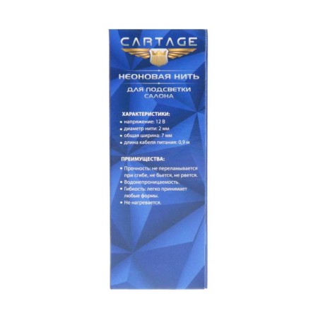 Cartage neon thread for lighting salon, 12 V, 5 m, blue power adapter-5